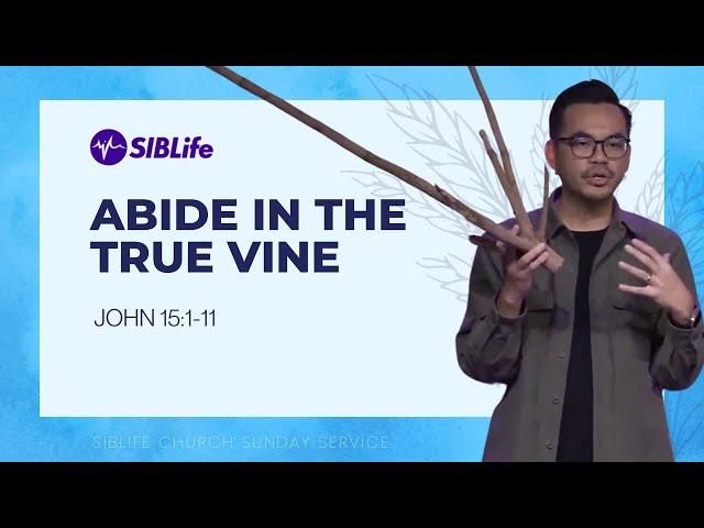 Abide in the True Vine (John 15:1-11) | Pr Wagner Daniel | SIBLife Church