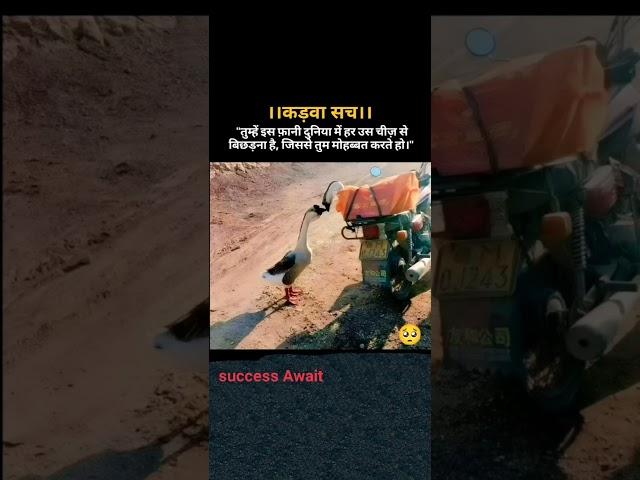 कड़वा सच #shortvideo #motivation #सफलत #motivationalquotes #सफलत ##