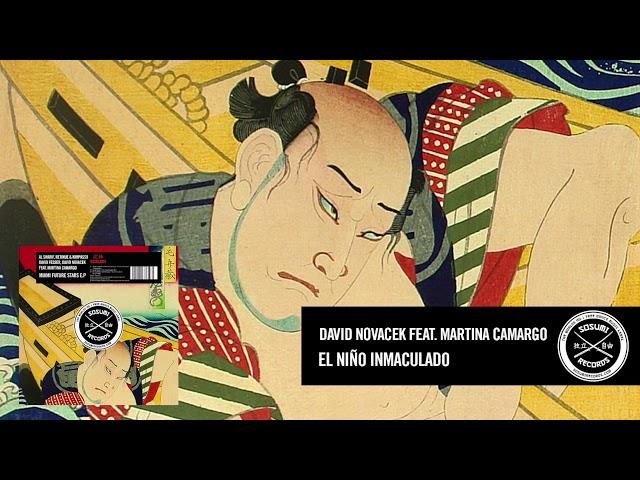 David Novacek Feat. Martina Camargo - El Niño Inmaculado [Sosumi Records]