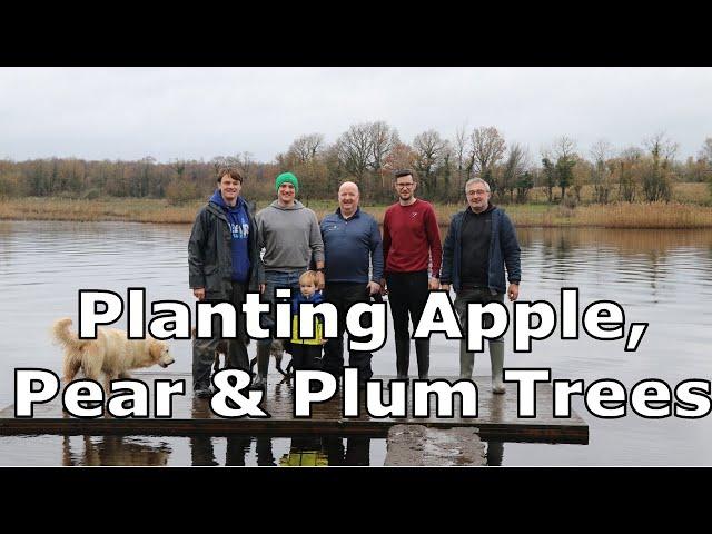 Planting Apple, Plum and Pear Fruit Trees | Establishing habitat for wild pollinators