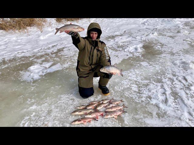 ОНИ С ТРУДОМ ПРОХОДЯТ В ЛУНКУ! ЗАКРЫЛ СЕЗОН ТАКИМИ КАБАНАМИ. ЗИМНЯЯ РЫБАЛКА 2024.