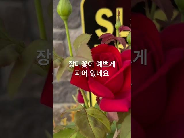 걸어서 집에 가는 길 모습