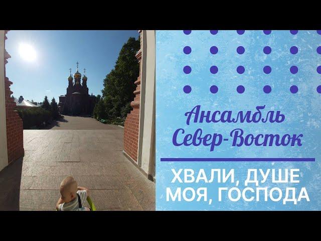 Молитвенная музыка, под которую я работаю: Второй антифон ХВАЛИ ДУШЕ МОЯ ГОСПОДА #византия 5 гласа