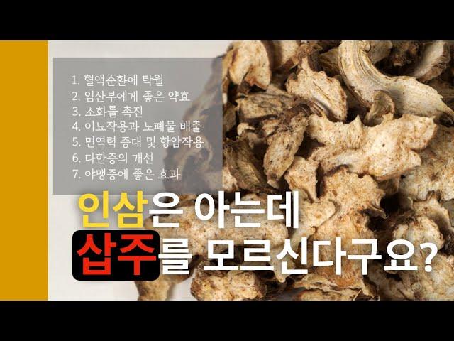 인삼은 알죠! 삽주는 모르신다구요? 그럼 꼭 보셔야합니다 #삽주 #백출 #위장장애