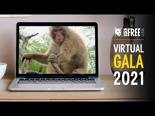 Born Free USA's Virtual Gala 2021