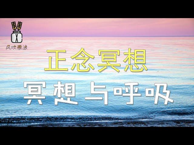 【正念冥想课程】冥想与呼吸丨风吹麦浪