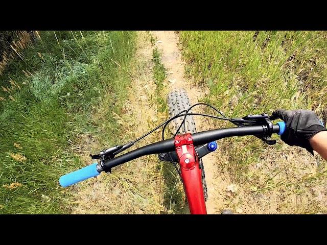 Overgrown Trails on a Fat Bike | Overgrown Trail Exploration | Fat Bike Asinine