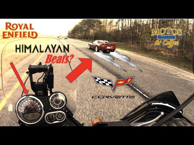 Royal Enfield Himalayan | TOP SPEED Test– Beats a Corvette!!!?? MORE POWER! | ECU and K&N Mods   4K