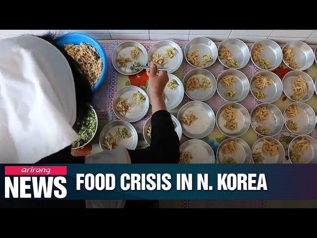 40% of N. Korean population suffers from food shortage: UN