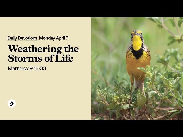 Weathering the Storms of Life  – Daily Devotional