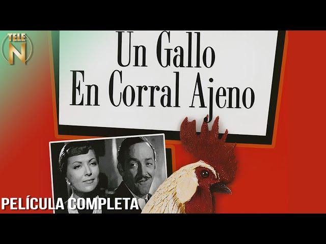 Un Gallo En Corral Ajeno | Tele N | Jorge Negrete