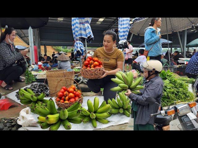 Harvest Bananas and tomatoes from my farm, go to the market. gardening, growing potatoes