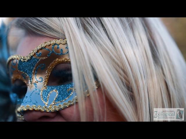 Masquerade Ball & Murder Mystery Event at the Idaho Falls Zoo