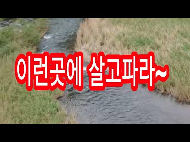 【한국시골마을】귀촌추천마을인 충북의시골마을 (옥천군 청성면)