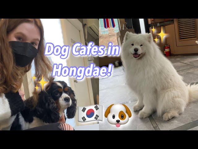 Shopping and Dog Cafes in Hongdae, Seoul, South Korea! (vlog 26)