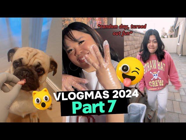  VLOGMAS 2024 Part 7: Chopper’s Toy Drama, Costco Haul, Boiling Crab Lunch & Meal Prep Fun! 