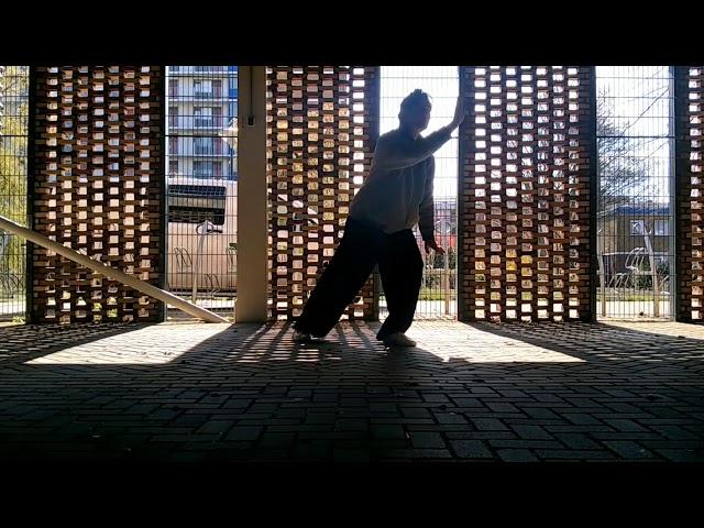 Wu style taijiquan pt.1