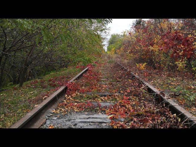 Заброшенная ЖД возле кладбища поездов | Ростов-на-Дону |