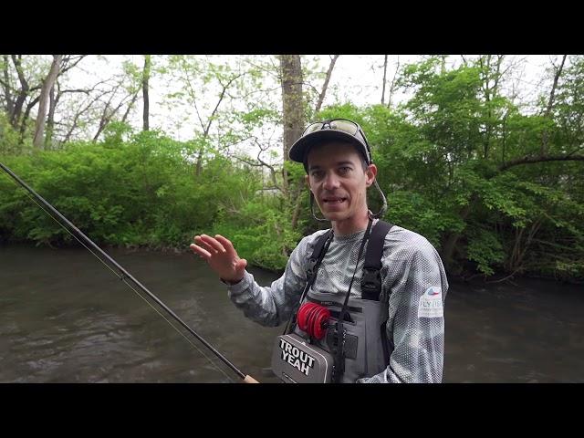 Fly Fishing encountering trees and obstacles.