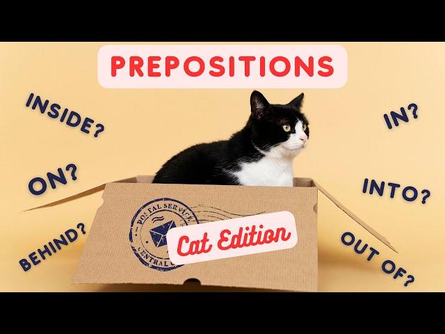 Prepositions Cat Edition - ESL GAME - English Grammar