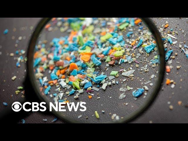 How dangerous are microplastics and how often do people ingest them?