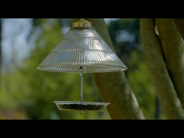 Repurpose Project: Bird Feeder