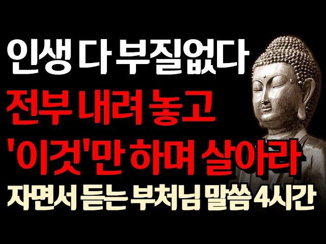 노후에는 애쓰지 말고 '이 것'만 하며 행복하게 살아라 I 나이가 들수록 행복해지는 방법 I 자면서 듣는 부처님 말씀 4시간 l 지혜 I 인생 조언 I 오디오북 I 철학 I 독경