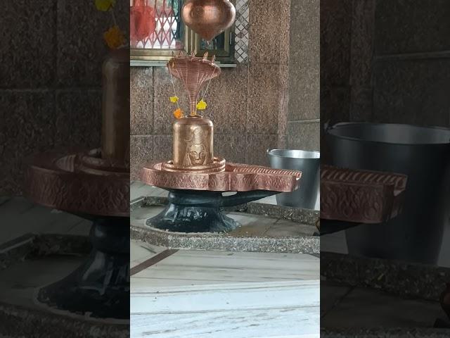 Mahadev ️#shorts #music #love #kedarnath #mahadiv #shortvideos #trending