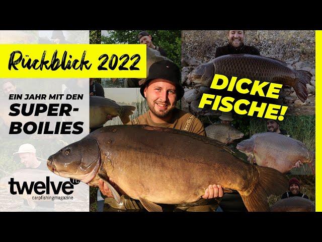 Ein Jahr mit den Super-Boilies - Big Fish Jahr 2022 | Karpfenangeln | Enyzme | dicke Fische