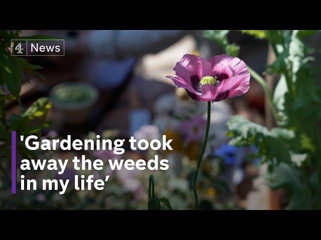 Chelsea Flower Show: A Sanctuary for survivors