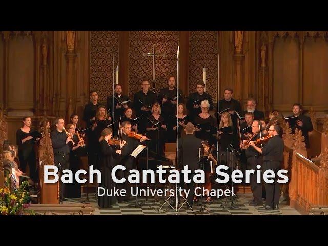 Bach Cantata Series at Duke Chapel