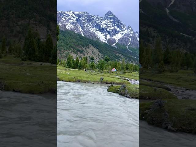 Basho Valley Skardu | Natural Beauty of Mountain ️ #basho #mountainvibes #summervibes