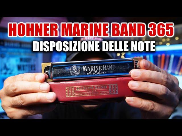 Hohner Marine Band 365 C e la disposizione delle sue note