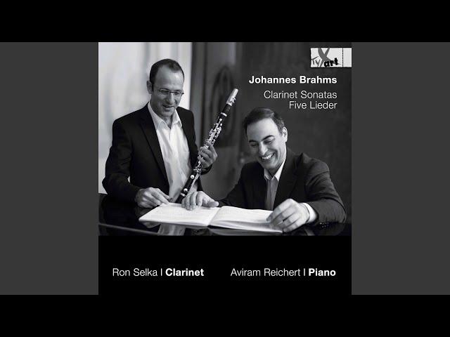 5 Lieder, Op. 105 (Excerpts Arr. for Clarinet & Piano) : No. 4, Auf dem Kirchhofe