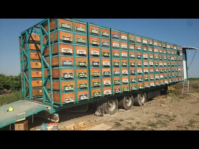 a first in the world. new system modern mobile beekeeping