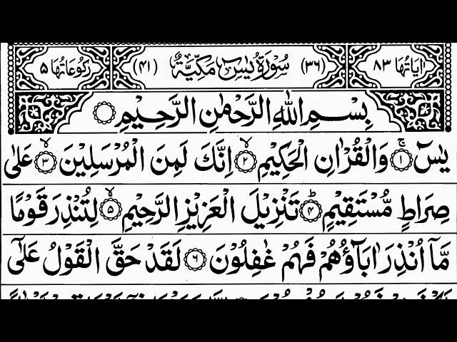 Surah Yasin | quran tilawat |Episode 737| Daily Quran Tilawat Surah Yaseen Surah Rahman Surah Waqiah