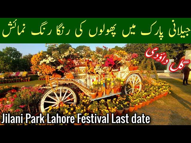 jilani park lahore festival 2023, jilani park lahore festival last date, gul e daudi, Mr Phirtu