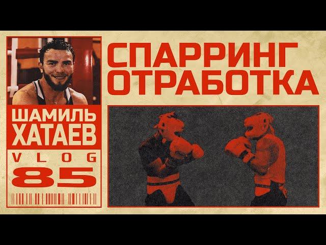 Спарринг отработка с Шамилем Хатаевым |Сергей Воробьев. Путь к Чемпионству