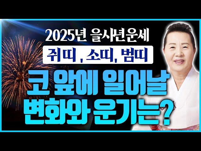 2025년 을사년 쥐띠 소띠 범띠 운세 대운의 문이 활짝 열렸다! 소원성취까지 이뤄 신바람이 절로 난다! 띠별운세 총정리 1탄