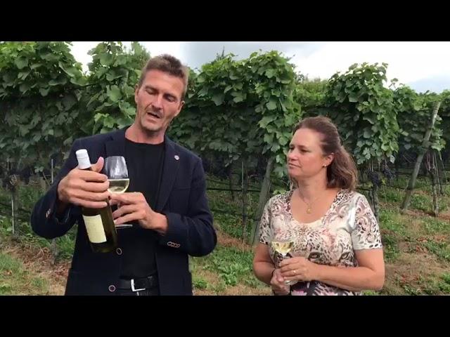 Swiss wines with wine expert Armin H. Müller and winemaker Eveline Heusser Feisthammel