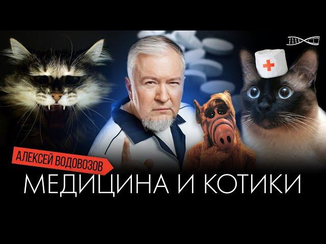 Алексей Водовозов. Медицина и котики