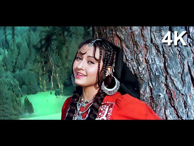 4K VIDEO Main Hoon Khush Rang Heena | Henna Video Song | Lata Mangeshkar | Zeba Bakhtiar