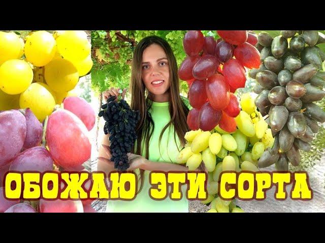 САМЫЕ ВКУСНЫЕ СОРТА ВИНОГРАДА В МИРЕ !!!