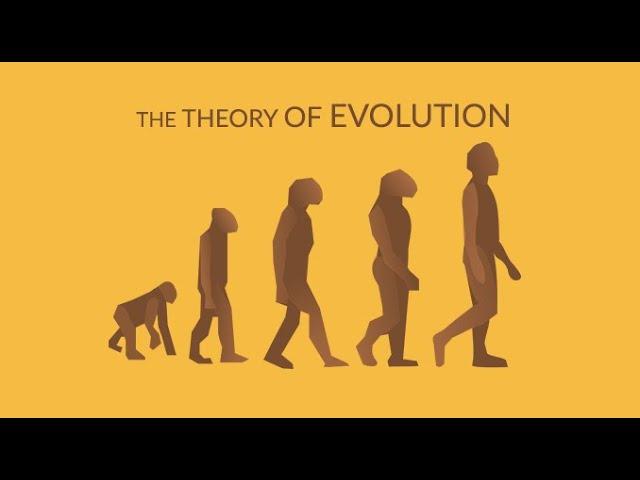 Do We Have the Definition of Evolution Wrong?  New Definition of Evolution According to New Article.