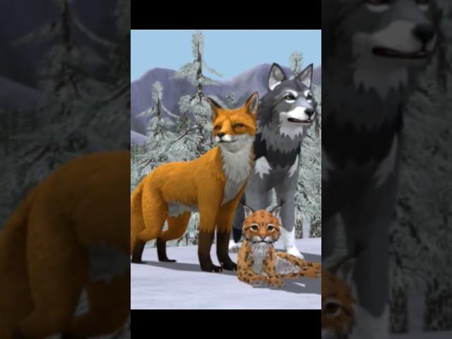 Old Wildcraft versus the one we got #Wildcraft #nostalgia