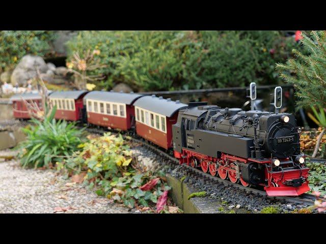 LGB Aster Brockenlok      #gardenrailway #gartenbahn #modeltrains