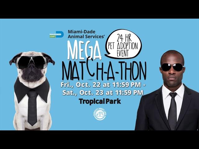 Miami-Dade Animal Services - Mega Match-a-thon 2021 - English