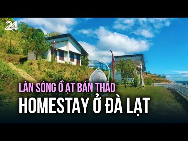 Làn sóng ồ ạt bán tháo homestay ở Đà Lạt | VTV24