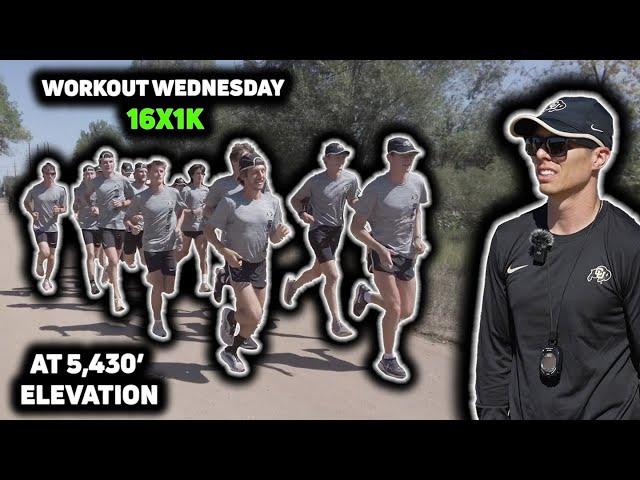 The Colorado Buffaloes Conquer 16x1K at 5,430’ Elevation with Ease | Workout Wednesday