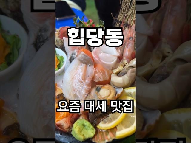 #신당동맛집 원하면 바로여기 #마케집 신선하고 고소한 막회와 숙성회 최고